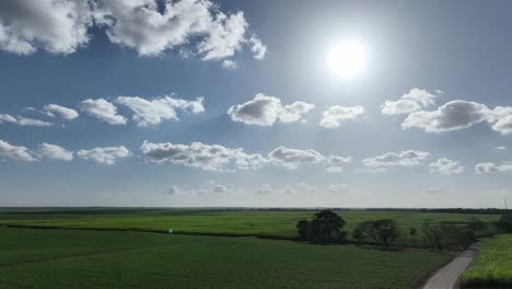 Rice-field-in-San-Francisco-de-Macoris-with-bright-sun-in-sky,-Dominican-Republic