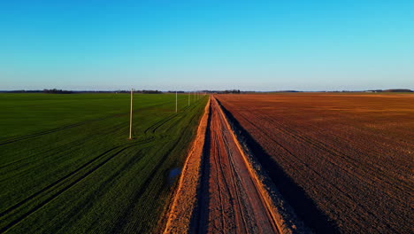 Crop-rotation-process-divided-by-rural-road,-aerial-view
