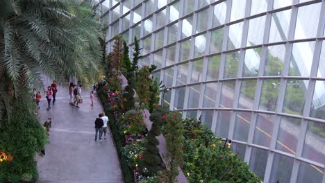 People-visiting-and-exploring-the-Singapore's-landmark-attraction,-world-largest-glass-greenhouse-Flower-Dome-at-Gardens-by-the-bay-with-variety-of-flowers-and-plants-displaying-in-the-conservatory