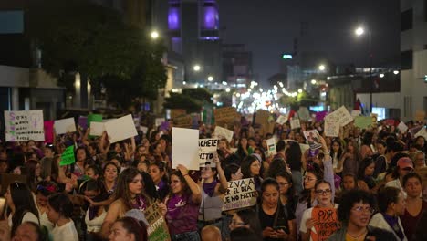 Pancarta-De-Protesta,-Feminismo