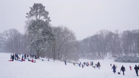 Wunderschöne-Winterlandschaft-Mit-Fallenden-Schneeflocken