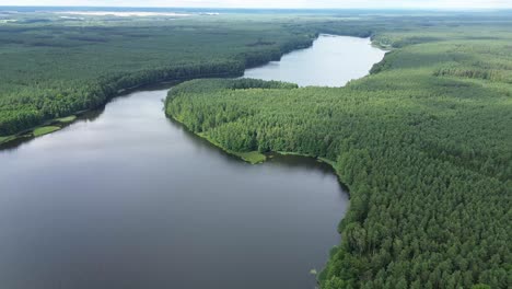 Lago-En-El-Bosque-Día-Nublado-Paisaje-Aéreo-De-La-Grúa-Del-Auge