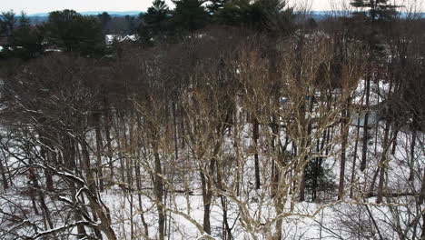 Kahle-Bäume-Im-Wald-Mit-Schnee-Auf-Dem-Boden-Während-Der-Wintersaison,-Drohne-Steckt-Im-Baum-Fest