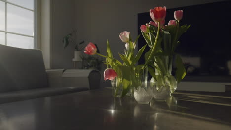 Soft-sunlight-filters-through-a-window,-illuminating-tulips-in-vases-on-a-table,-timelapse