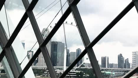 View-of-Ferris-Wheel-From-Inside-the-Cloud-Forest-in-Gardens-By-The-Bay-in-Singapore---POV
