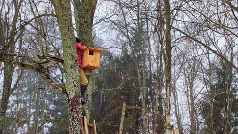 Mann-Stellt-Einen-Vogelnistkasten-Hoch-Oben-In-Einem-Baum-Auf