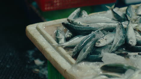 Fischstand-Auf-Dem-Nachtmarkt-In-Der-Küstenstadt-Vung-Tau
