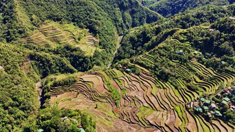 Imágenes-Soleadas-De-Drones-De-Las-Famosas-Terrazas-De-Arroz-Batad-En-El-Norte-De-Filipinas