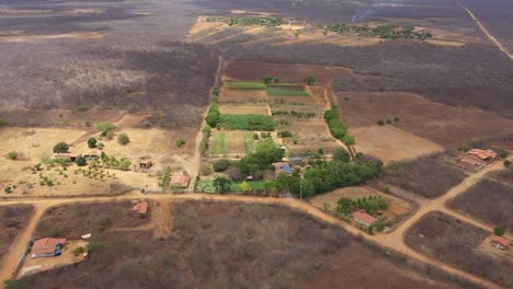 Wüstengemüsefarm,-Beweis-Für-Menschlichen-Einfallsreichtum-Und-Ausdauer