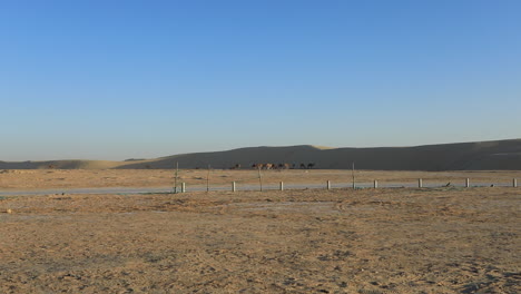 Dry-Tunisian-desert-landscape-with-clear-skies-and-distant-hills,-fence-in-foreground
