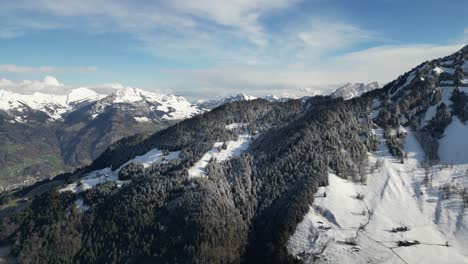 Luftpanorama-Überblick-über-Schneebedeckte-Berge-Und-Kiefernwälder-Am-Mittag,-Ruhige-Natur