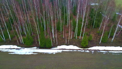 Aerial-drone-from-left-to-right-of-pathway-along-the-outskirts-of-a-forest-covered-with-patches-of-snow-on-a-cold-winter-day