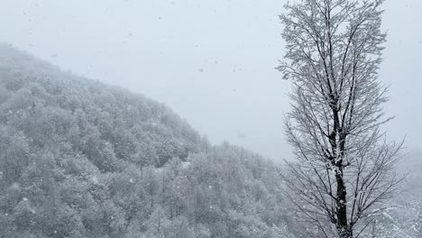 Snow-covered-forest-hills-tall-tree-in-the-scenic-viewpoint-in-mountain-environment-in-winter-heavy-snow-landscape-rural-village-countryside-nature-wide-view-in-Mountain-highland-trekking-adventure