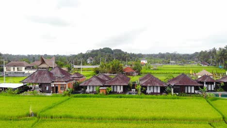 Kleine-Traditionelle-Balinesische-Hütten-Inmitten-Der-Reisfelder