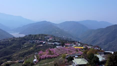 Ein-Lebendiges-Dorf-In-Den-Bergen-Mit-Blühenden-Kirschblüten,-Luftaufnahme