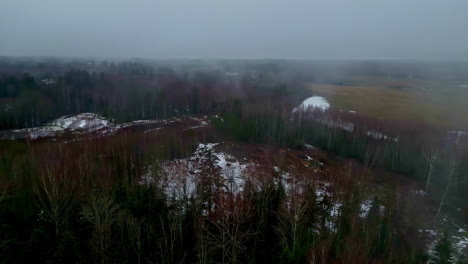 Aerial-drone-shot-over-white-snow-covered-along-rural-landscape-surrounded-by-coniferous-trees-on-a-cloudy-day