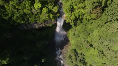 Birds-view-shot-of-Nachi-waterfall,-the-biggest-in-Japan