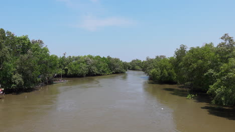 Mangrove-forest-surrounding-a-calm-river-under-a-clear-blue-sky-in-a-tropical-environment