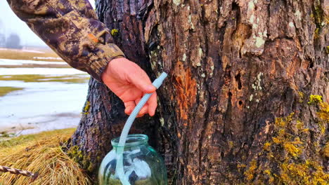 Mann,-Der-Mit-Einem-Bohrer-In-Der-Hand-Ein-Blaues-Rohr-In-Ein-Gefäß-Einführt,-Um-Saft-Oder-Sirup-Von-Einem-Baum-Zu-Sammeln