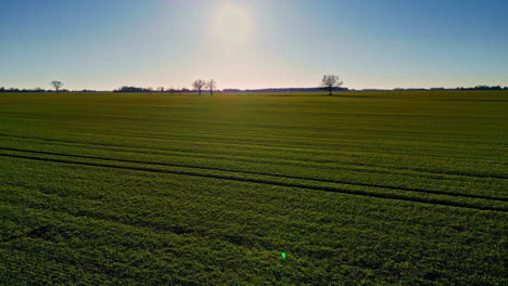 Flug-über-Nutzpflanzen-Auf-Landwirtschaftlichen-Flächen-Bei-Sonnenaufgang