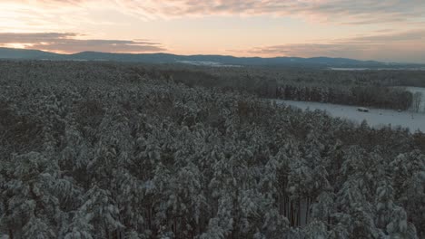 Aerial-drone-flight-over-snow-covered-forest-in-winter,-cold-weather,-peaceful-relaxing-view-during-sunset-or-sunrise