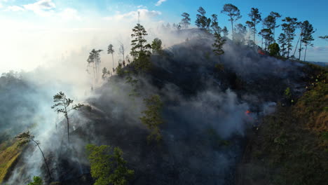 Extreme-forest-wildfire-on-Dominican-Republic-during-heatwave-season