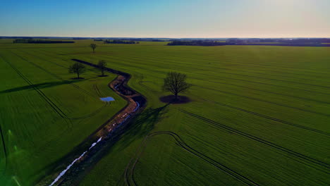 Green-spring-crops-growing-in-an-endless-farmland-field-with-an-irrigation-ditch---aerial