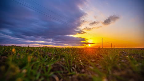 Timelapse-Panorámico-De-Un-Campo-De-Trigo-Al-Atardecer