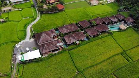 Green-Rice-Fields-Surrounding-Kayangan-Villa-Ubud-In-Bali,-Indonesia---Aerial-Drone-Shot