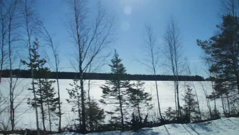 Snow-covered-Finnish-landscape-with-trees-in-foreground-during-a-bright-winter-sun,-train-journey-POV-from-Vuokatti-to-Finland