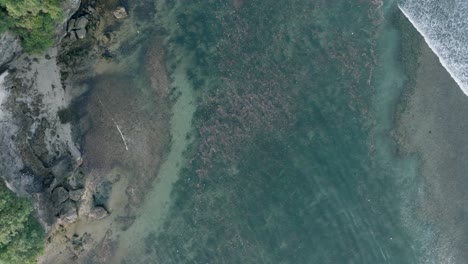 Von-Oben-Nach-Unten-Schnell-Absteigende-Drohnenaufnahme-Von-Verschmutztem-Wasser-Voller-Müll,-Das-über-Einem-Toten-Korallenriff-Im-Türkisfarbenen-Tropischen-Wasser-Von-Bali,-Indonesien,-Schwimmt