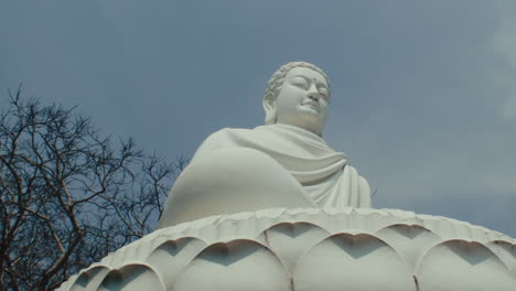 Panorama-Einer-Großen-Sitzenden-Buddha-Statue-Im-Wald