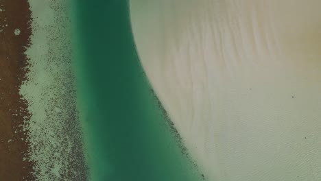 Vista-Superior-Sobre-La-Bahía-De-Tiburones,-Parque-Nacional-De-La-Costa-Oeste-En-Sudáfrica---Disparo-De-Drones