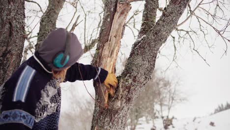 Man-Checking-Tree-Trunk-During-Snowfall-In-Winter