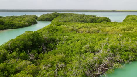 Aerial-view-of-a-part-of-the-Sian-Ka'an-Biosphere-Reserve,-Quintana-Roo