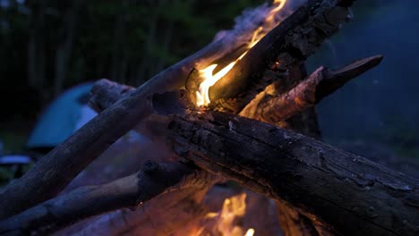 Flames-dancing-as-firewood-is-burning-at-a-camping-ground-in-the-forest-of-Bulgaria