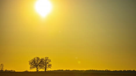 El-Sol-Brilla-Hasta-El-Mediodía-Hacia-El-Anochecer,-Un-Paisaje-Sereno-En-Un-Campo-Vacío