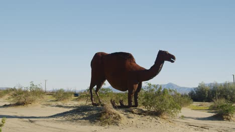 Una-Estatua-De-Camello-Gigante-Sentada-En-El-Suelo-Rodeada-De-Parches-De-Hierba-Y-Paisajes-Montañosos