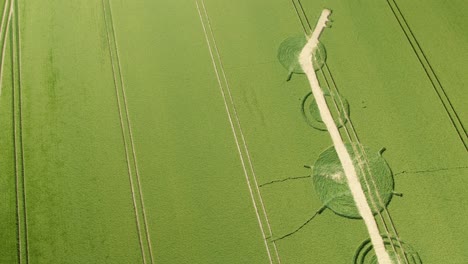 Rotierende-Luftaufnahme-über-Winterbourne-Bassett-Zerstört-Kornkreis-Ruiniert-Wiltshire-Gerstenfeld-Muster