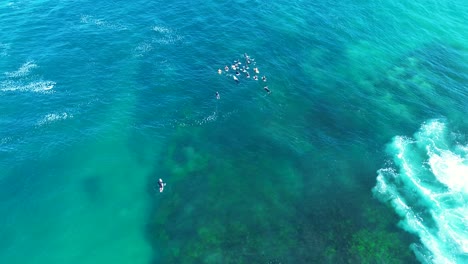 Zumbido-Aéreo-Paisaje-Grupo-De-Surfistas-Esperando-Natación-Alineación-Océano-Mar-Olas-Gente-Surf-Deporte-Costa-Central-Turismo-Viajes-Australia
