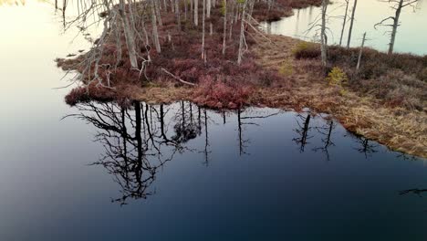 A-body-of-water-with-a-reflection-of-trees-in-it