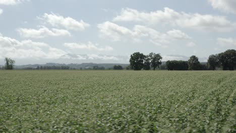 Drohne-Fliegt-In-Geringer-Höhe-über-Grüne-Felder-Der-Französischen-Landschaft