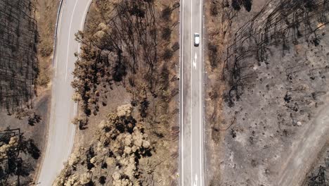 Damaged-forest-Road-after-fire-Aerial-View