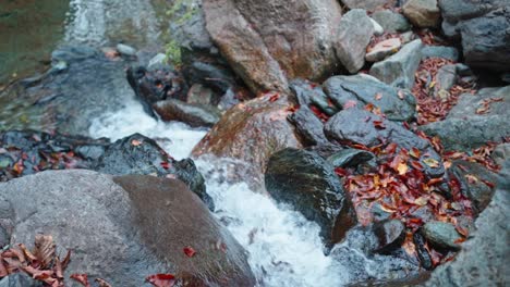 Autumn-leaves-on-rocks-in-a-bubbling-stream,-tranquil-nature-scene,-vibrant-fall-colors