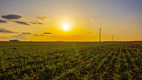 Sonnenuntergangsszene-Mit-Buntem-Himmel-über-Landwirtschaftlichen-Ackerflächen