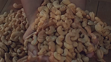 Cashew-Ist-Ein-Symbol-Der-Brasilianischen-Tropischen-Kultur-Und-Gastronomie