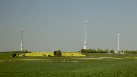 Tres-Turbinas-Eólicas-En-Un-Campo-Exuberante-Bajo-Un-Cielo-Despejado,-Con-Un-Toque-De-Flores-Amarillas-Y-Vegetación,-Durante-El-Día,-Tema-De-Energía-Sostenible