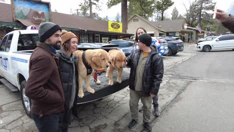 Golden-Retriever-Bürgermeister-In-Der-Stadt