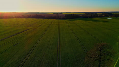 Luftaufnahme-Des-Sonnenuntergangs-über-Landwirtschaftlichen-Feldern-In-Einer-Minimalistischen-Drohne-Landschaft