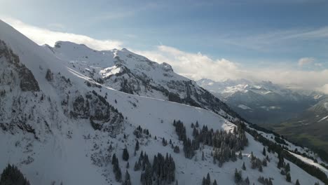 Aerial-dolly-above-calm-serene-snowy-mountain-ridge-with-pine-tree-forest-stands-and-strong-midday-sunlight-on-landscape